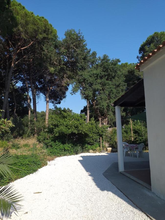 Holiday home Casa Lago Di Paola - Sabaudia
